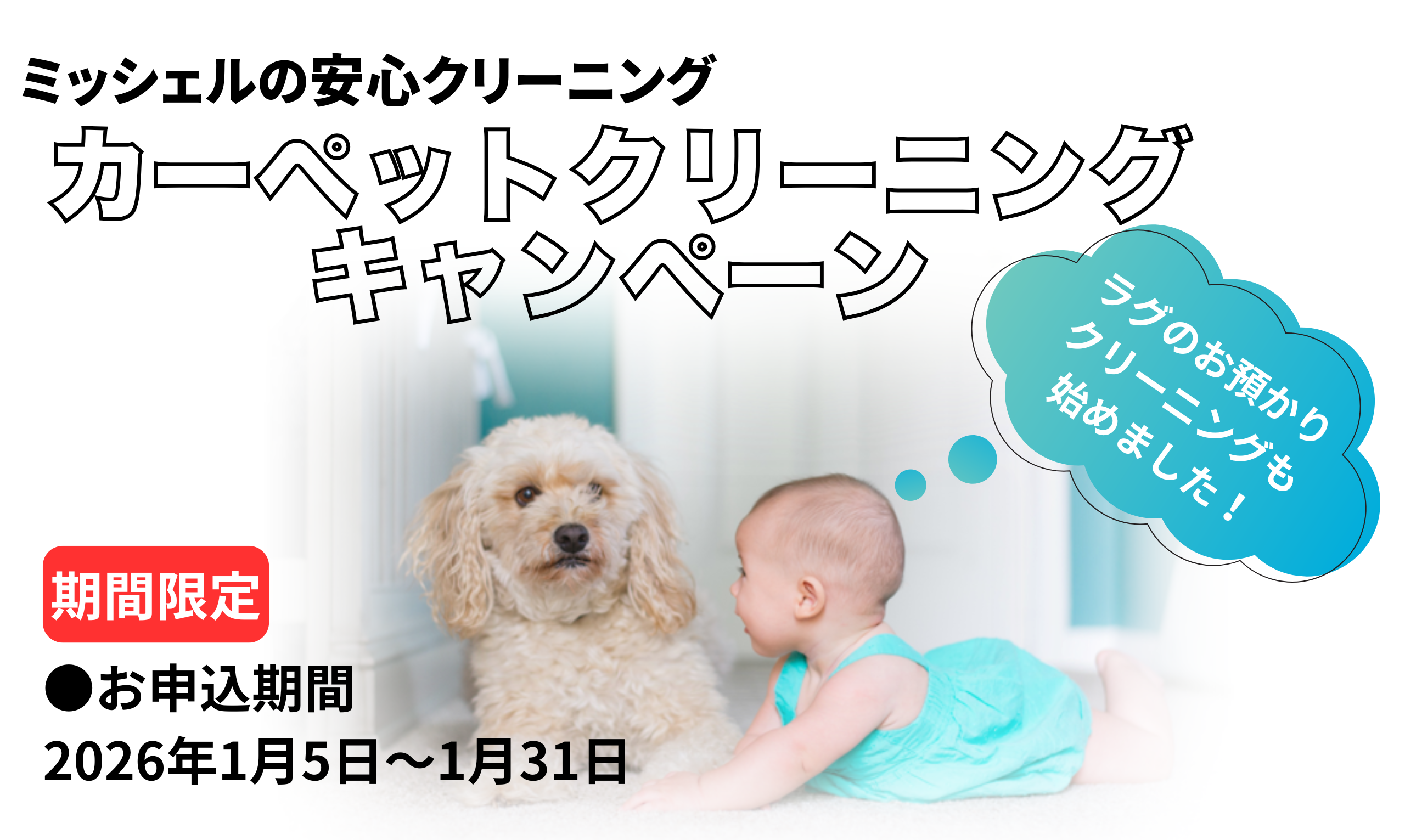 カーペット表紙